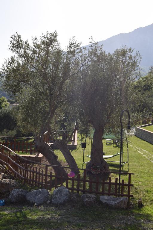 Ferienwohnung Al Boschetto Scario Exterior foto