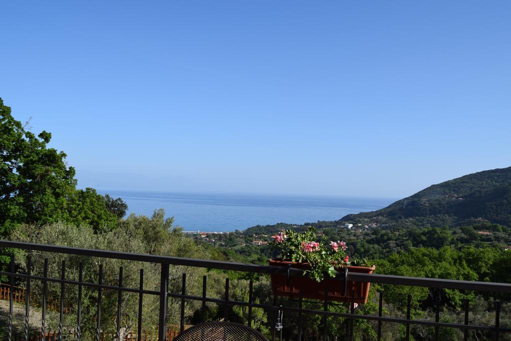 Ferienwohnung Al Boschetto Scario Exterior foto