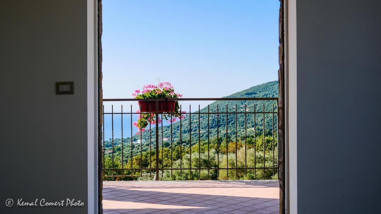 Ferienwohnung Al Boschetto Scario Exterior foto
