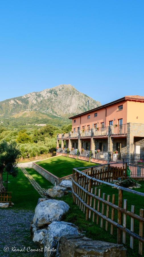 Ferienwohnung Al Boschetto Scario Exterior foto